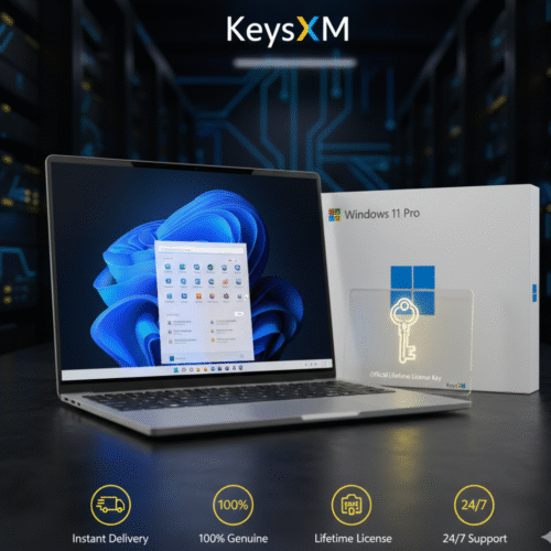 Windows 11 Pro - Official Lifetime License Key